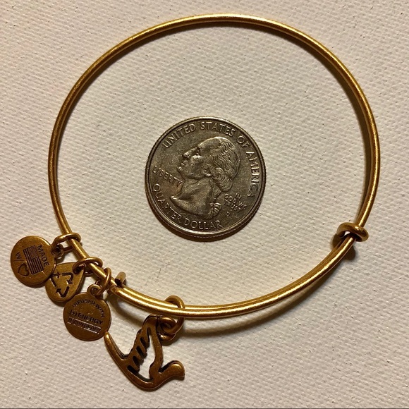 Alex and Ani Charm Bangle - Picture 5 of 5